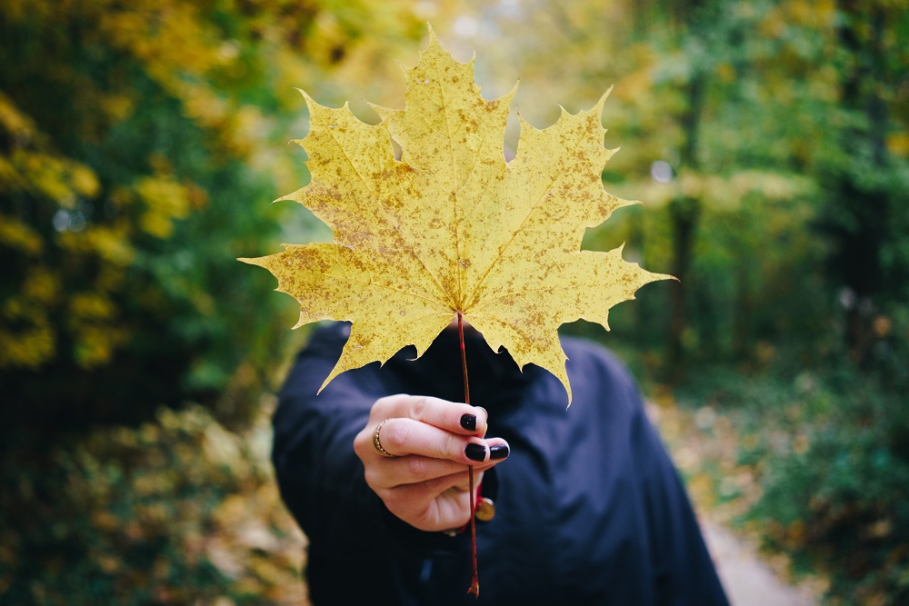 grow your own data science team